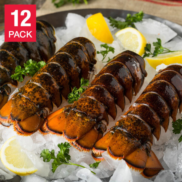 Coastal Seafood Frozen Lobster Tails 12 Count (6 - 8  oz.)