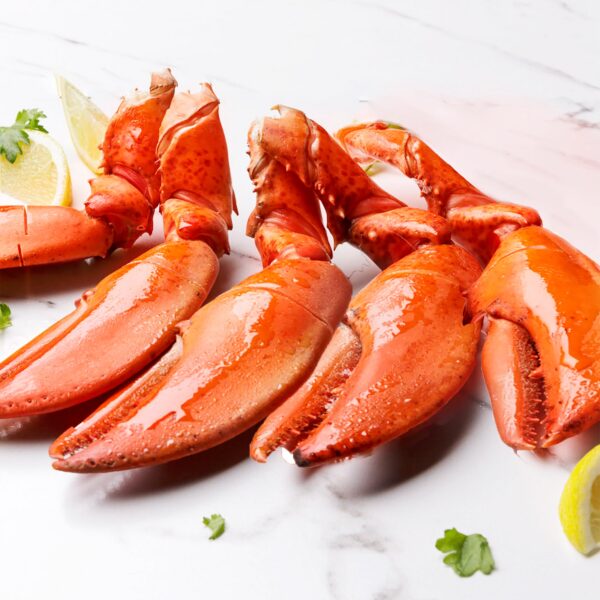 Lobster Claws & Arms, Sustainable Wild Caught, North Atlantic, 24-40 Claws & Arms (3-5 Lb. Per.), Total 8Lb. Case