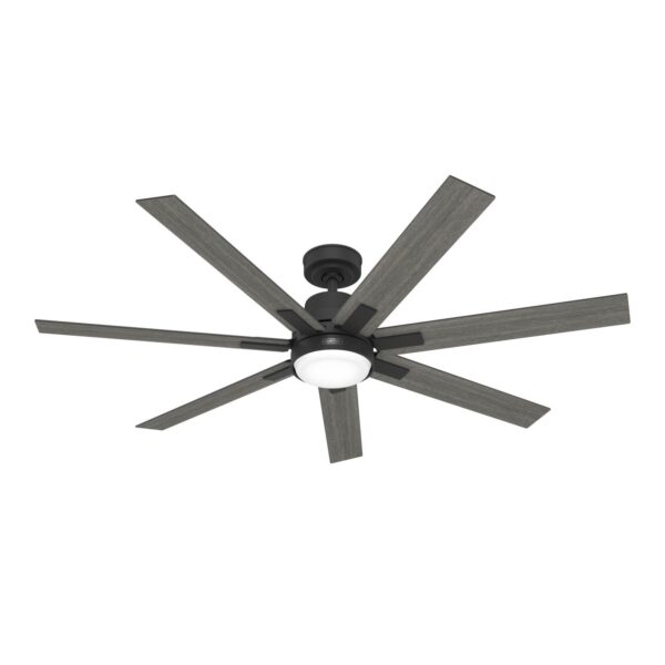 Hunter Loflin Great Room Ceiling Fan with LED Light